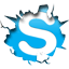 Connect via Skype