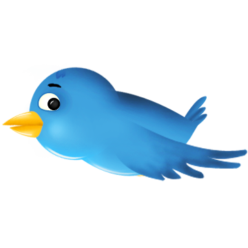 Twitter Bird