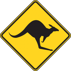 Kangaroo Leap Forward