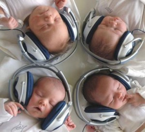 Many types of Music Fan